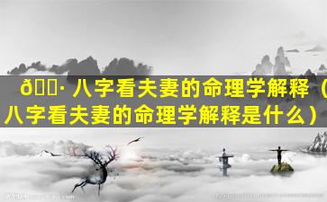 🕷 八字看夫妻的命理学解释（八字看夫妻的命理学解释是什么）
